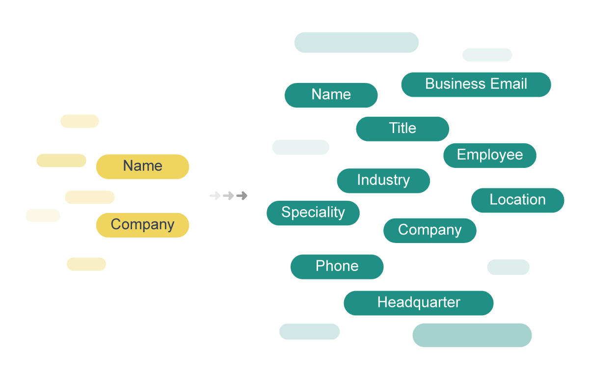 100+ Data Attributes